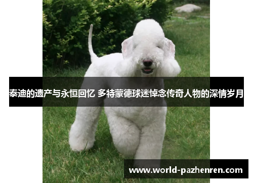 泰迪的遗产与永恒回忆 多特蒙德球迷悼念传奇人物的深情岁月 泰迪的遗产与永恒回忆 多特蒙德球迷悼念传奇人物的深情岁月