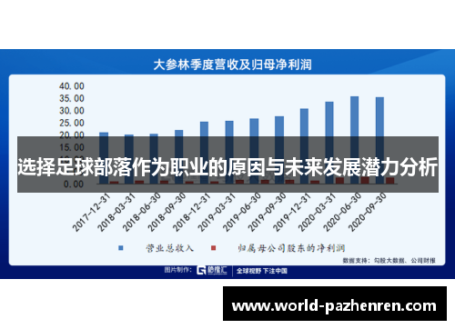 选择足球部落作为职业的原因与未来发展潜力分析 选择足球部落作为职业的原因与未来发展潜力分析