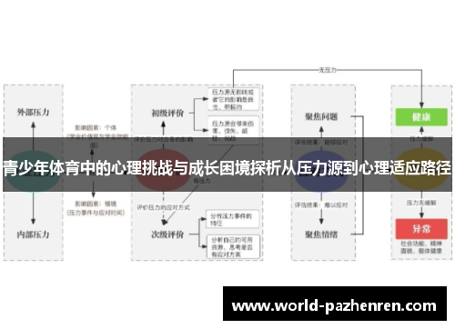 青少年体育中的心理挑战与成长困境探析从压力源到心理适应路径
