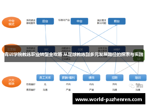 青训学院教练职业转型全攻略 从足球教练到多元发展路径的探索与实践