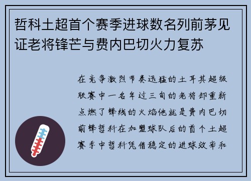 哲科土超首个赛季进球数名列前茅见证老将锋芒与费内巴切火力复苏 哲科土超首个赛季进球数名列前茅见证老将锋芒与费内巴切火力复苏